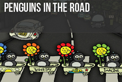 Penguins In The Road